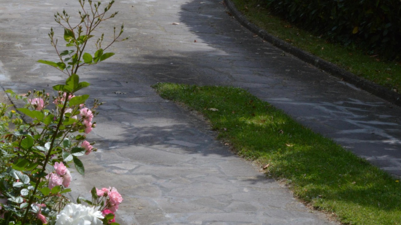Photo of Outdoor in SantʼAndrea di Compito