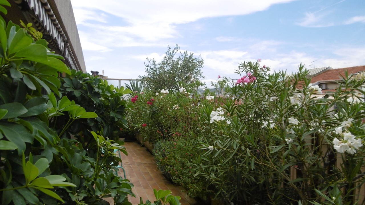 Photo of Outdoor in Jean-Medecin