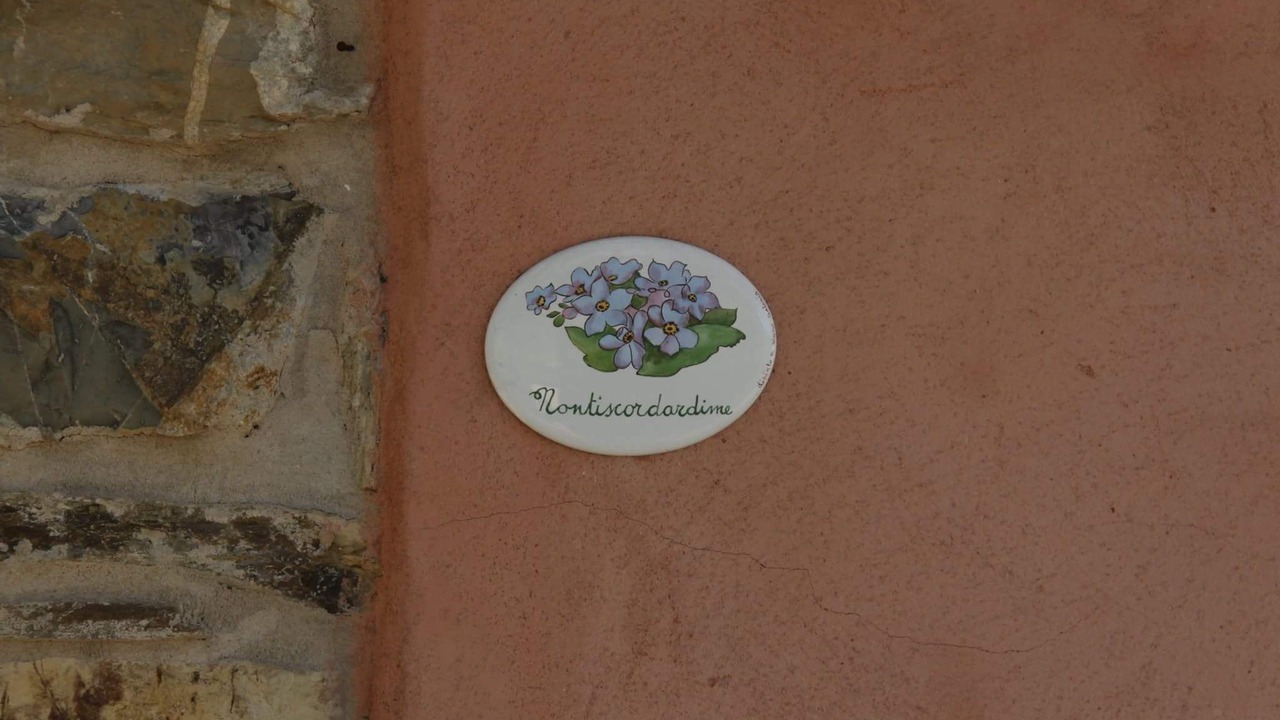 Photo of Others in Fivizzano