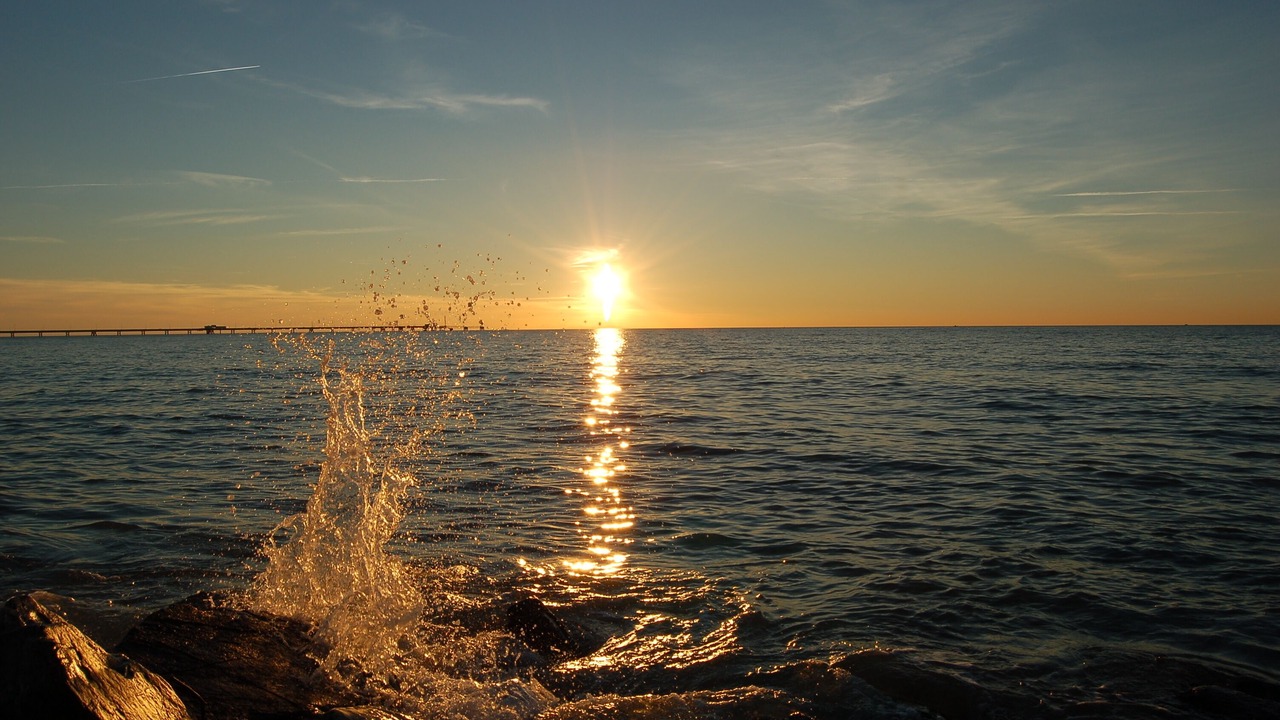 Photo of Others in Castiglioncello