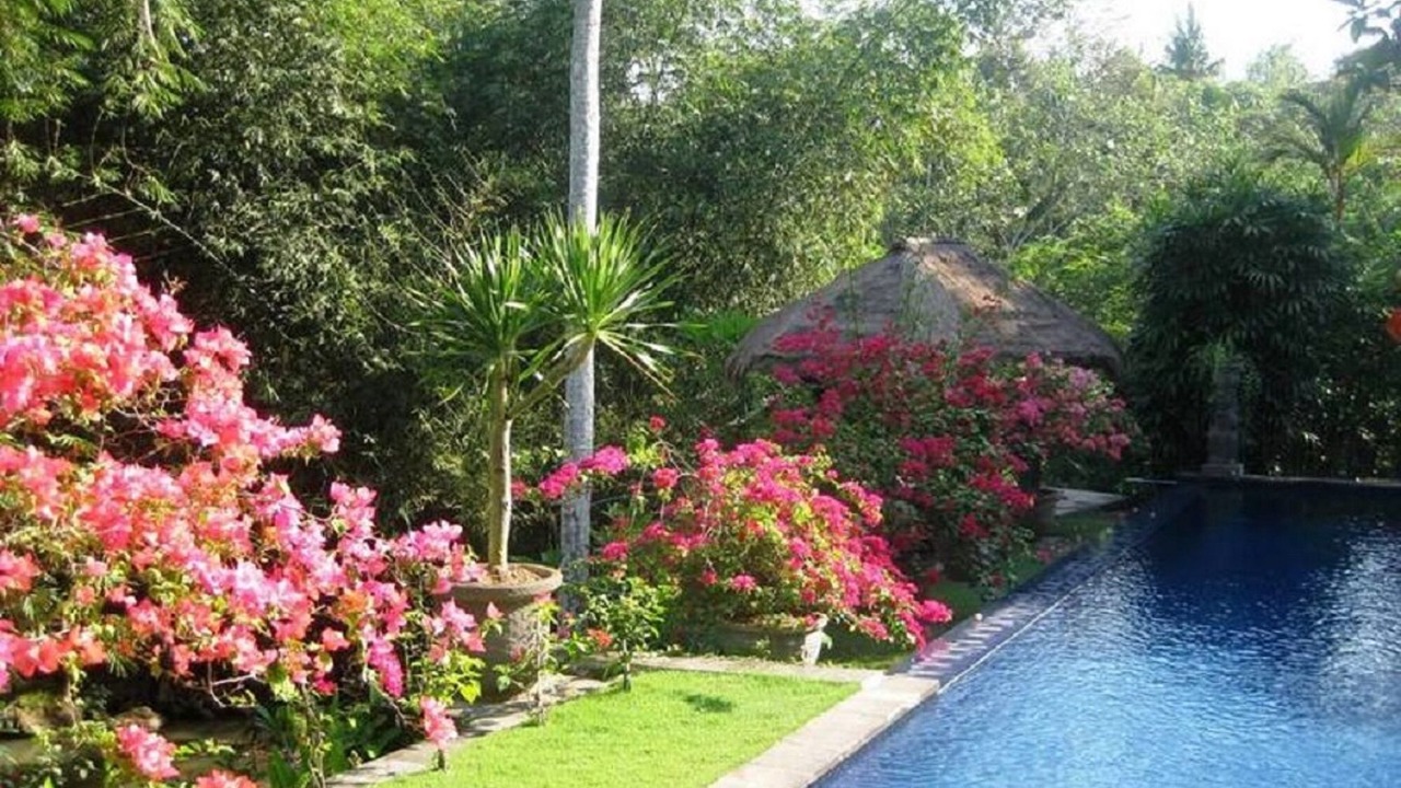 Photo of Outdoor in Cepaka