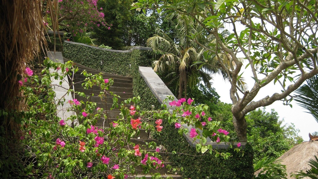 Photo of Outdoor in Cepaka