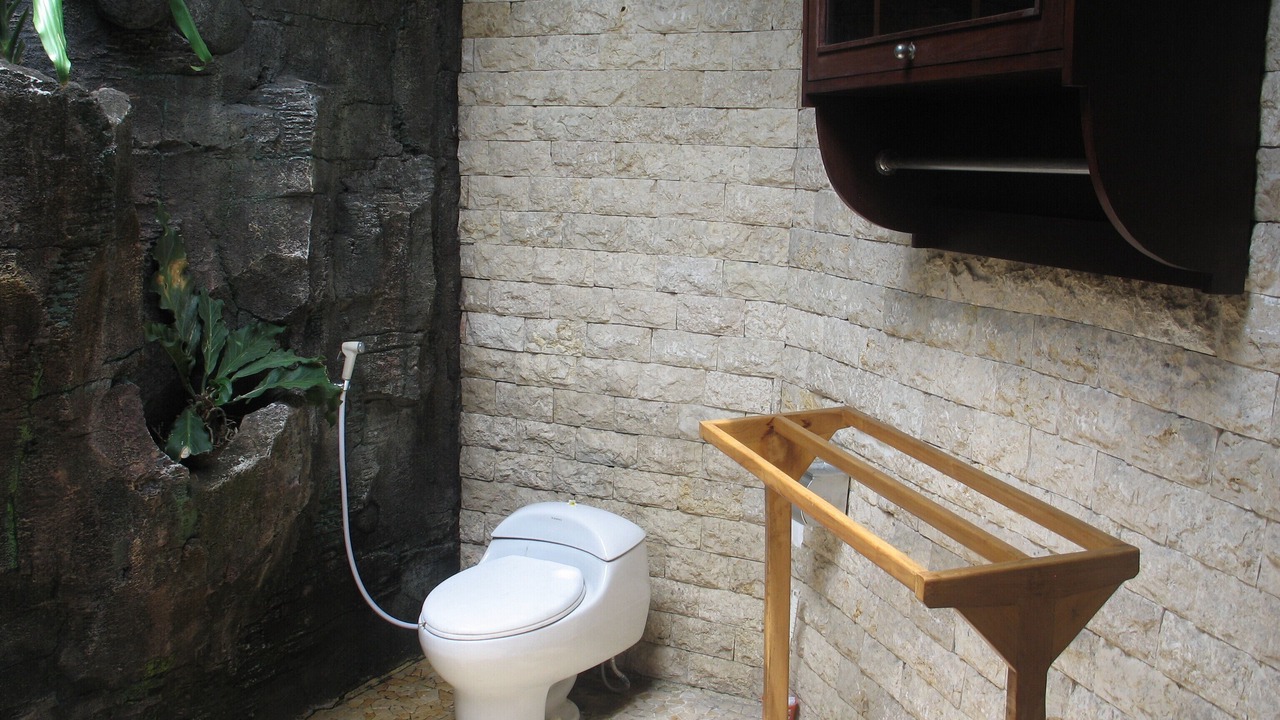 Photo of Bathroom in Banjartegehe