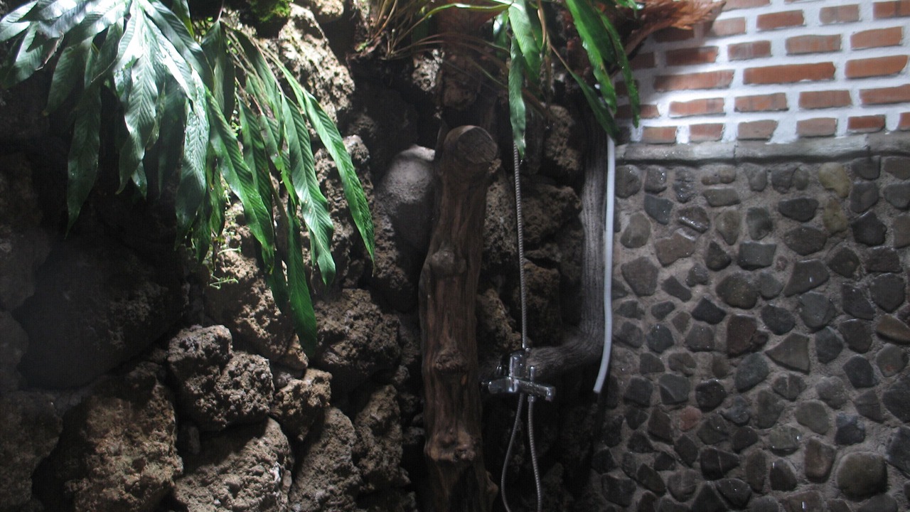 Photo of Bathroom in Tigawasa
