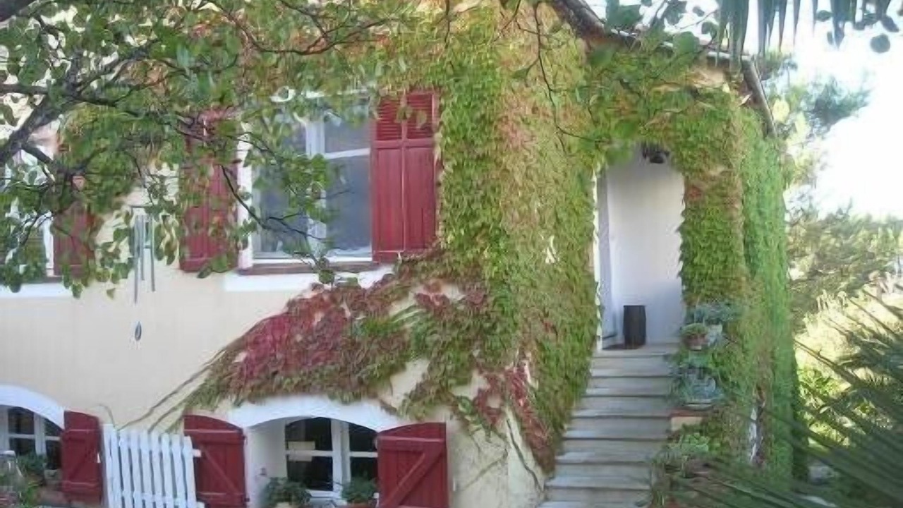 Photo of Outdoor in Saint-Jacques