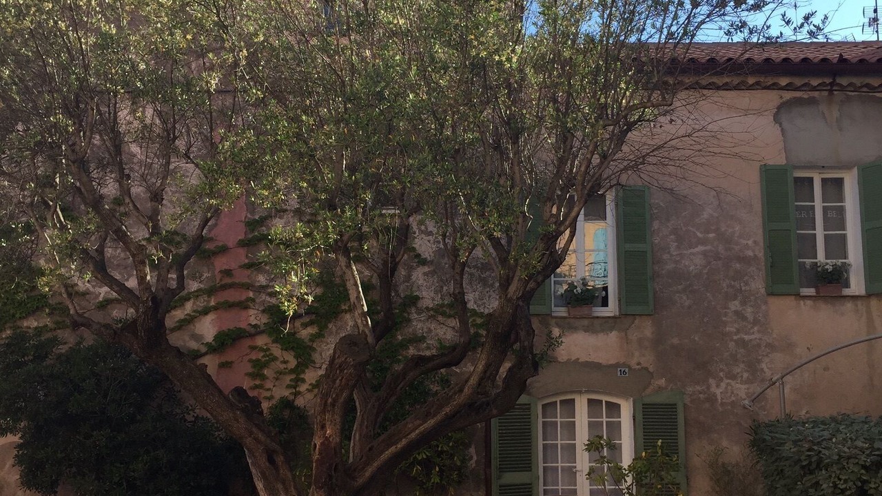 Photo of Outdoor in Old Town