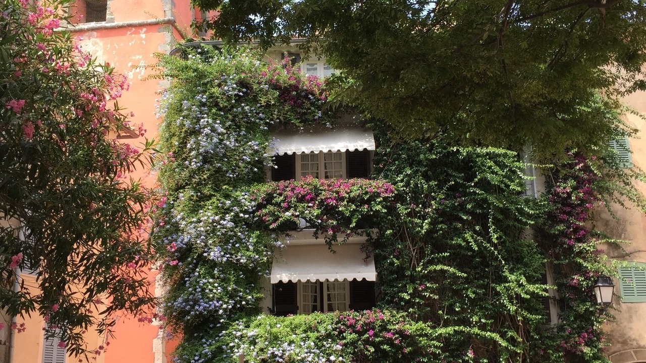 Photo of Outdoor in Old Town