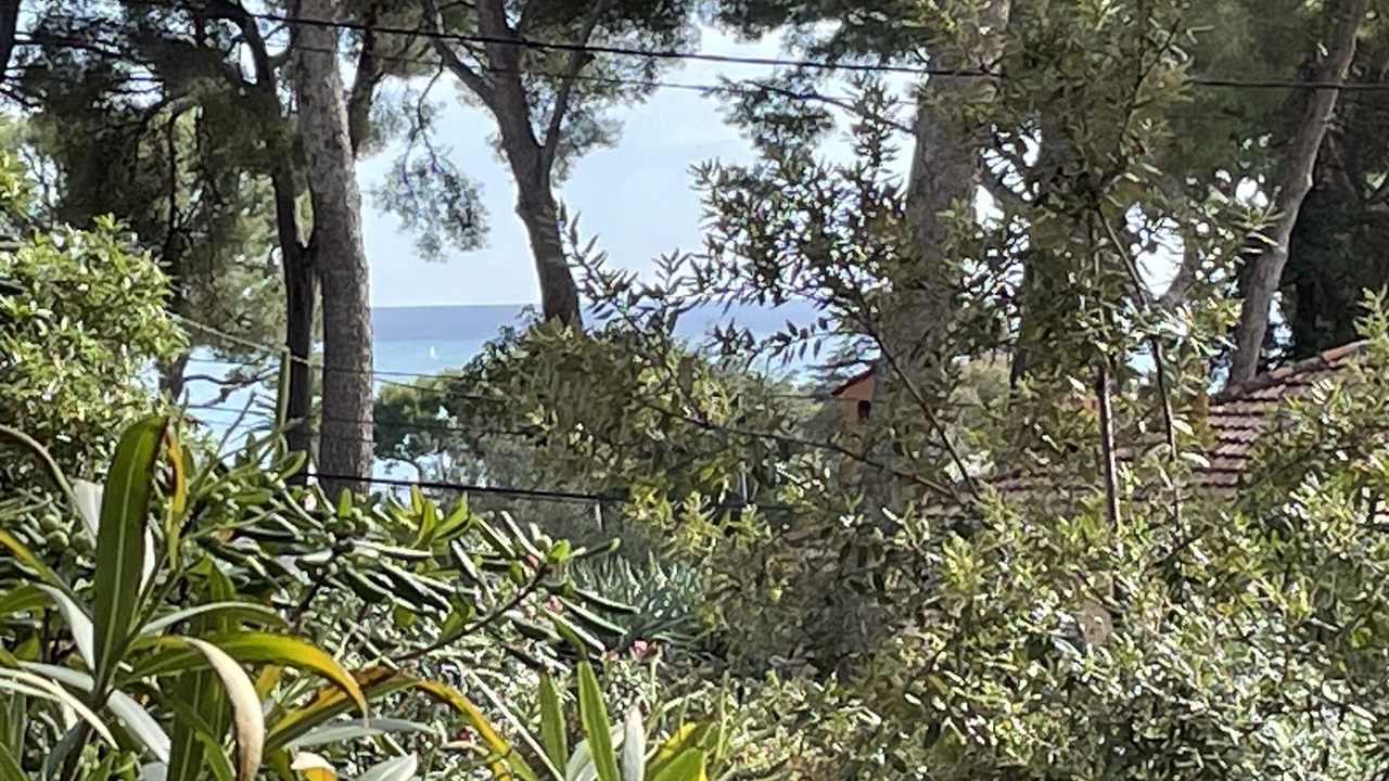 Photo of Outdoor in Cap-d'Antibes