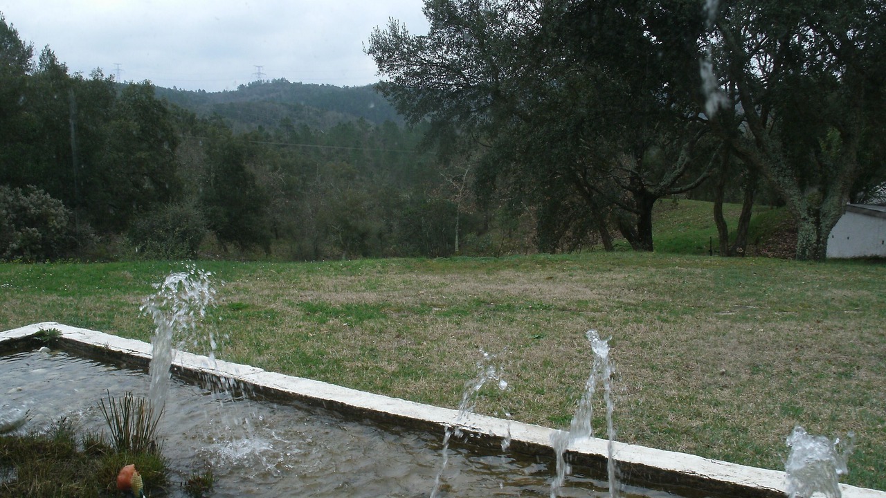 Photo of Outdoor in Saint-Paul-en-Foret