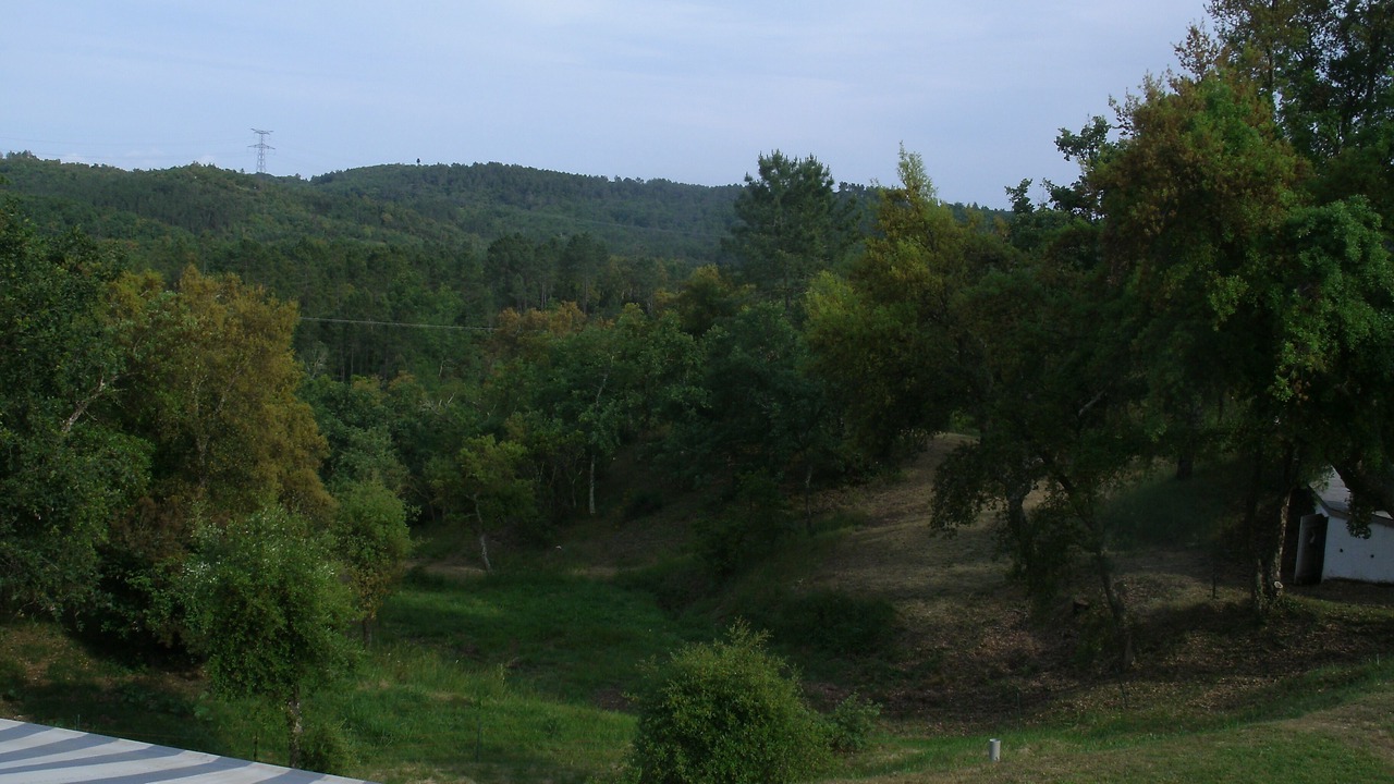 Photo of Others in Saint-Paul-en-Foret