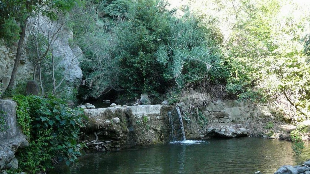 Photo of Outdoor in Pomaia