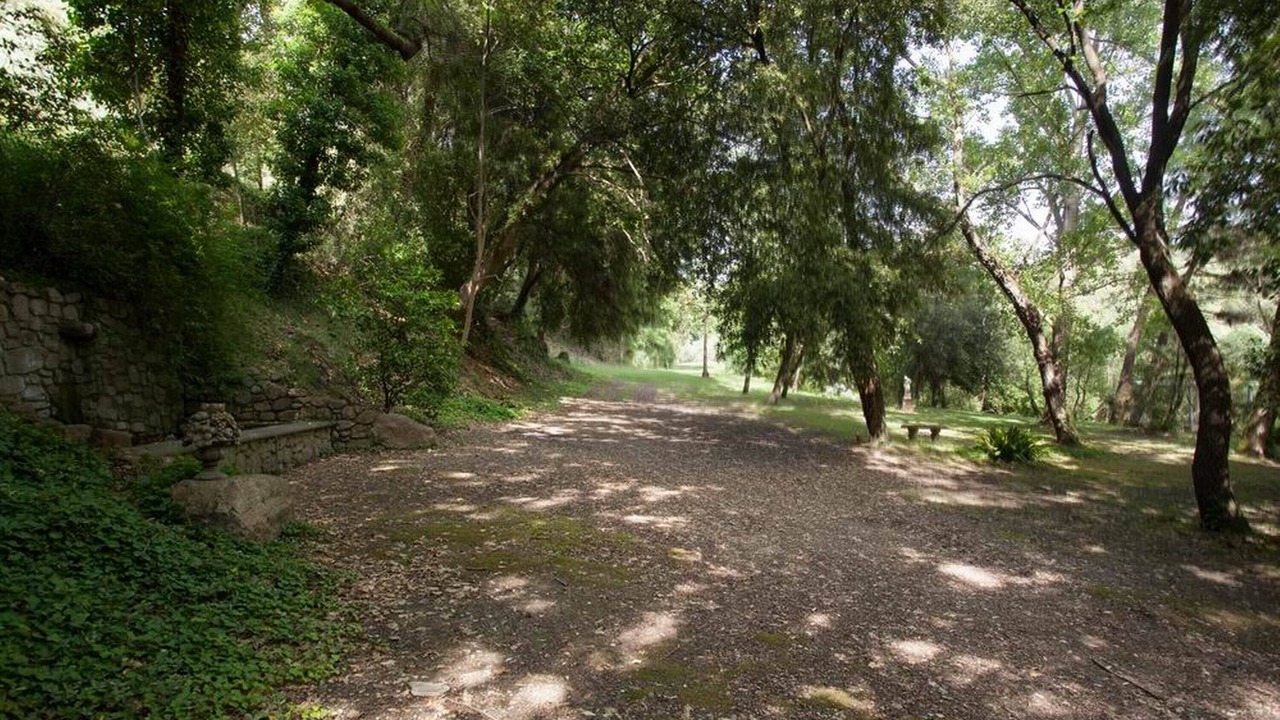 Photo of Outdoor in Pomaia