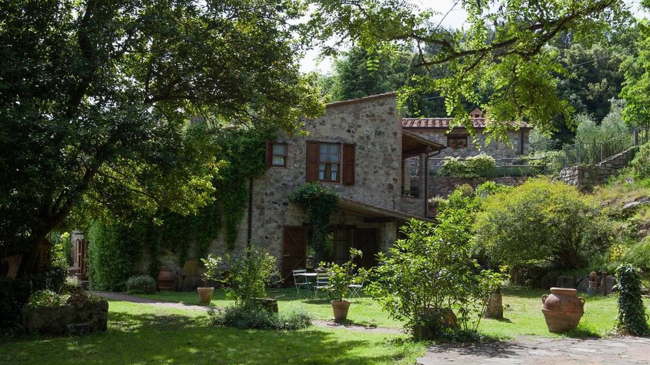 Photo of Outdoor in Pomaia