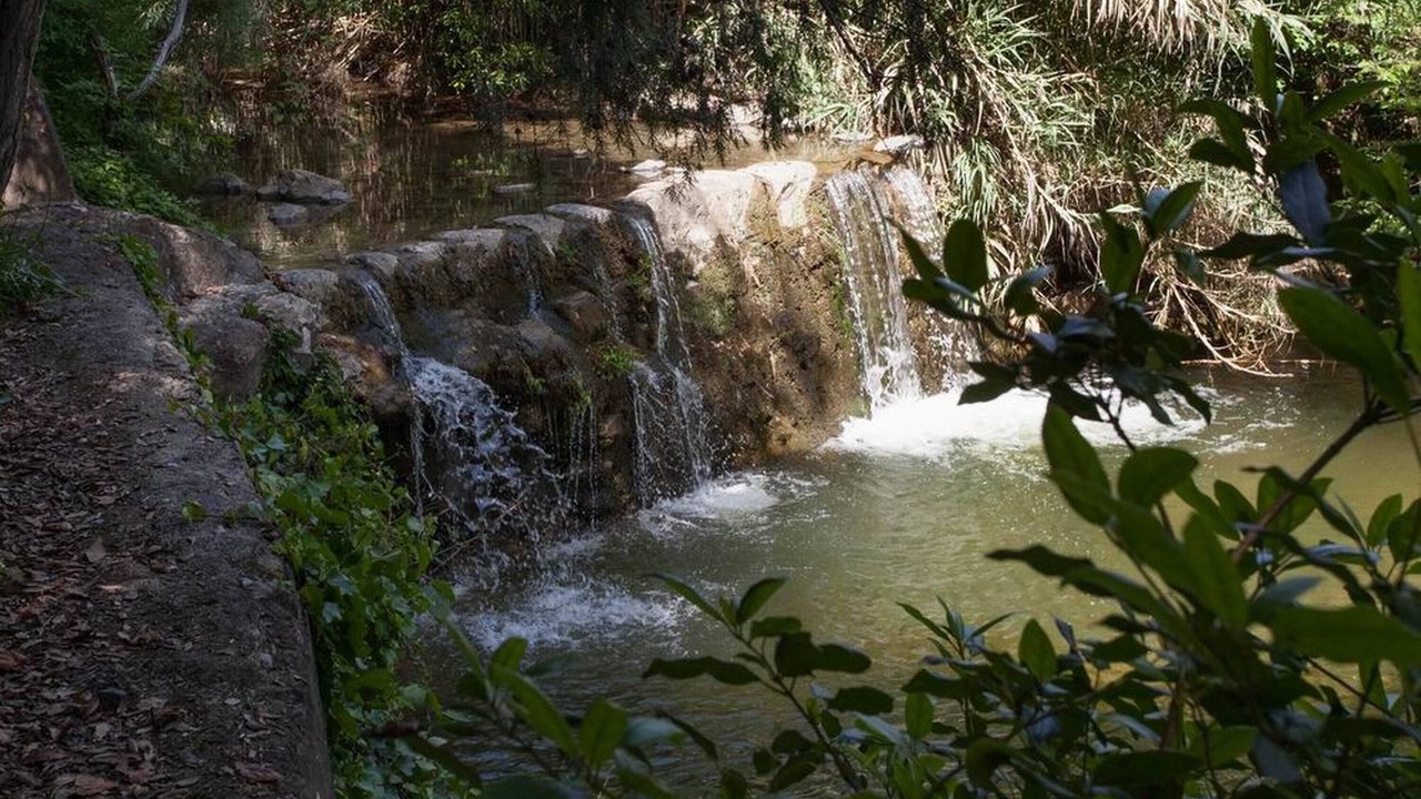 Photo of Outdoor in Pomaia