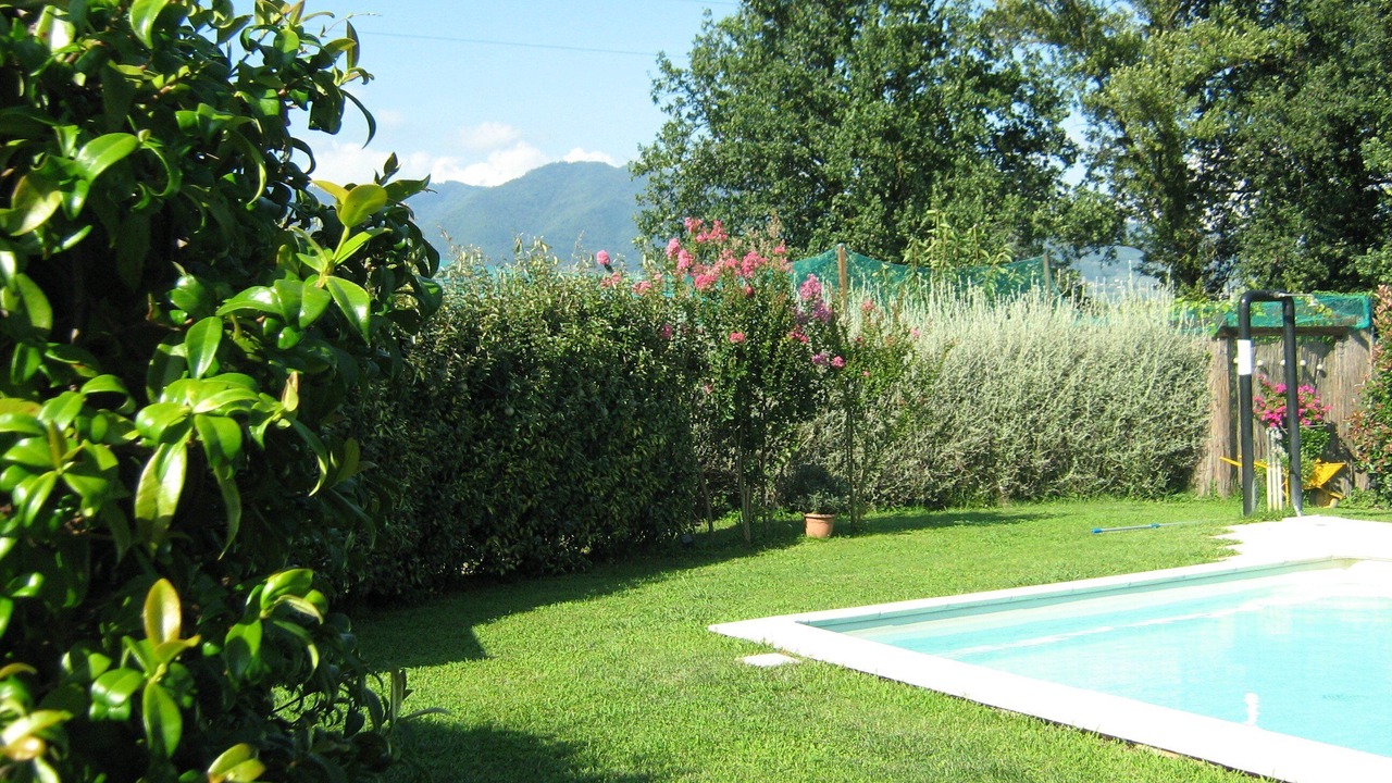 Photo of Outdoor in Capannori