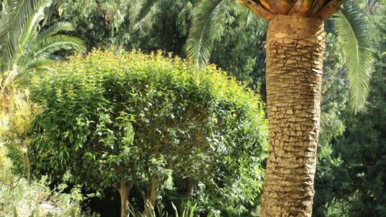 Photo of Outdoor in Menton