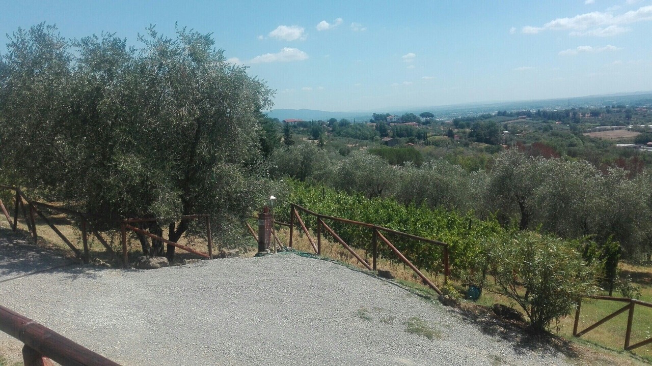 Photo of Outdoor in Capannori
