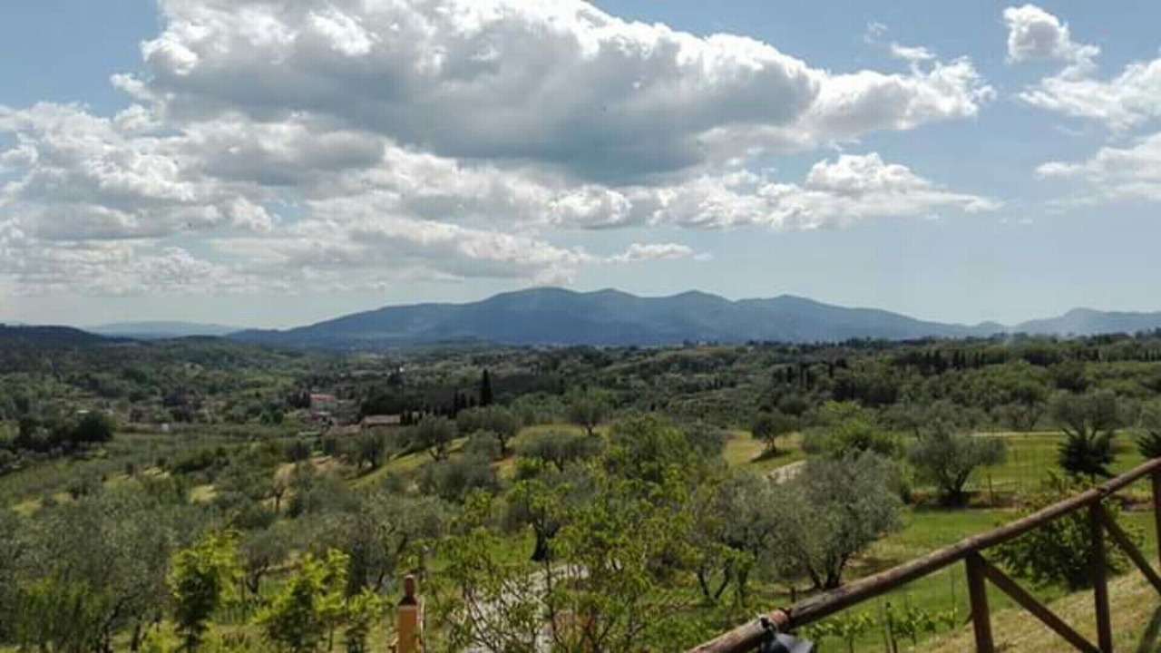 Photo of Others in Capannori