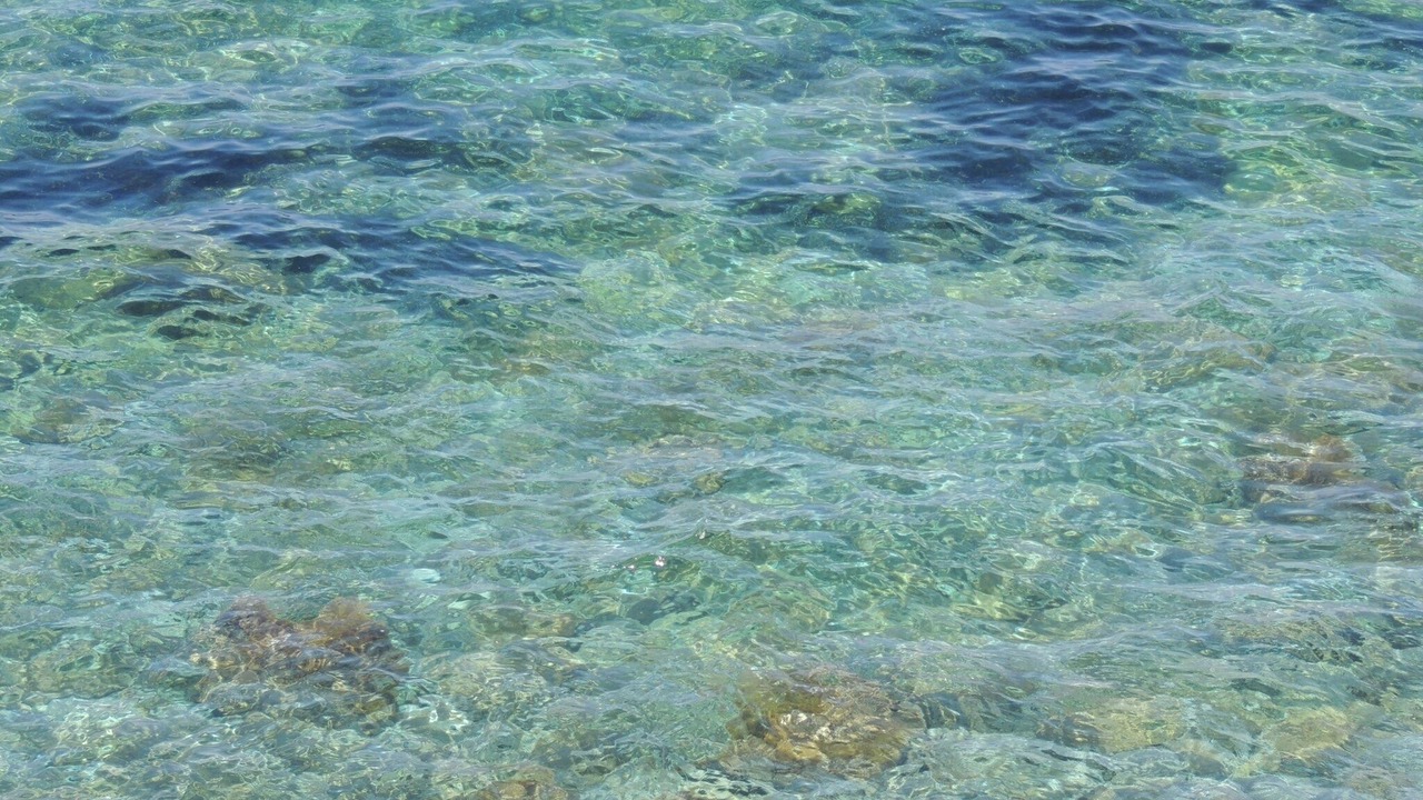 Photo of Others in Portoferraio