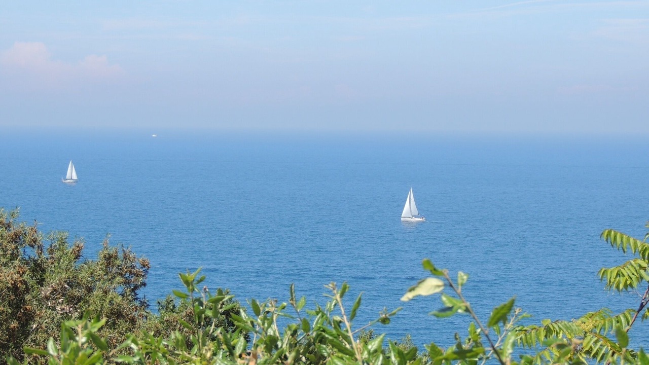 Photo of Others in Portoferraio