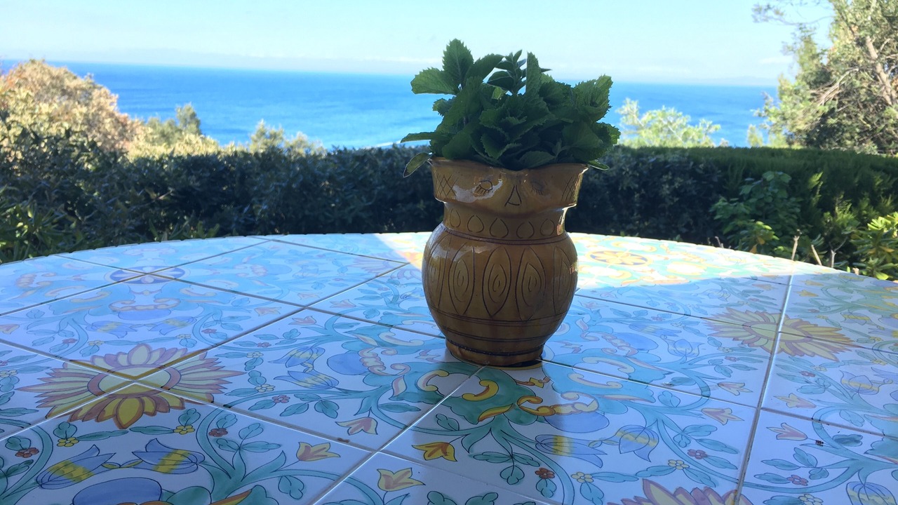 Photo of Outdoor in Portoferraio