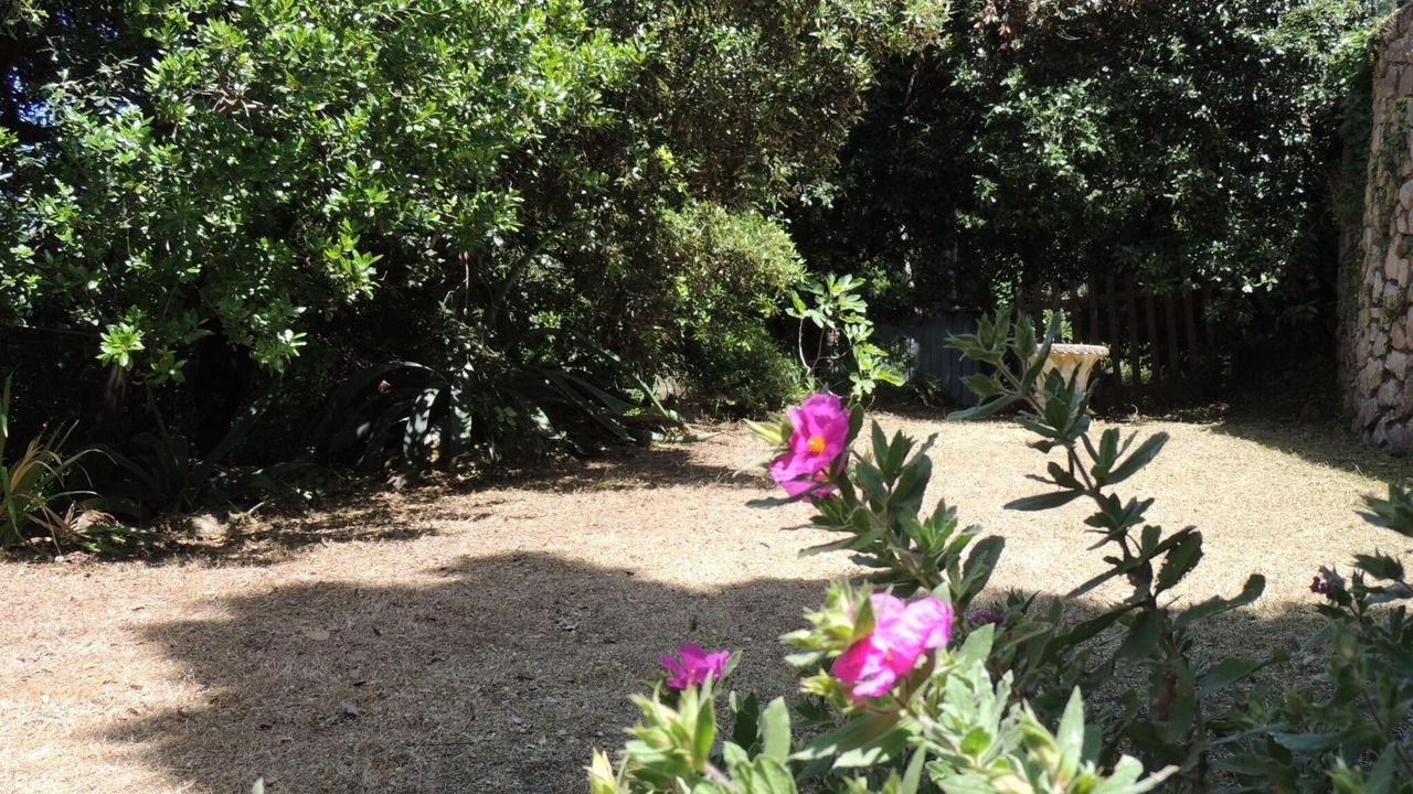 Photo of Outdoor in Portoferraio