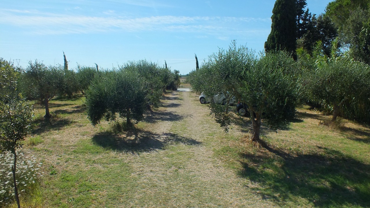 Photo of Outdoor in Latignano