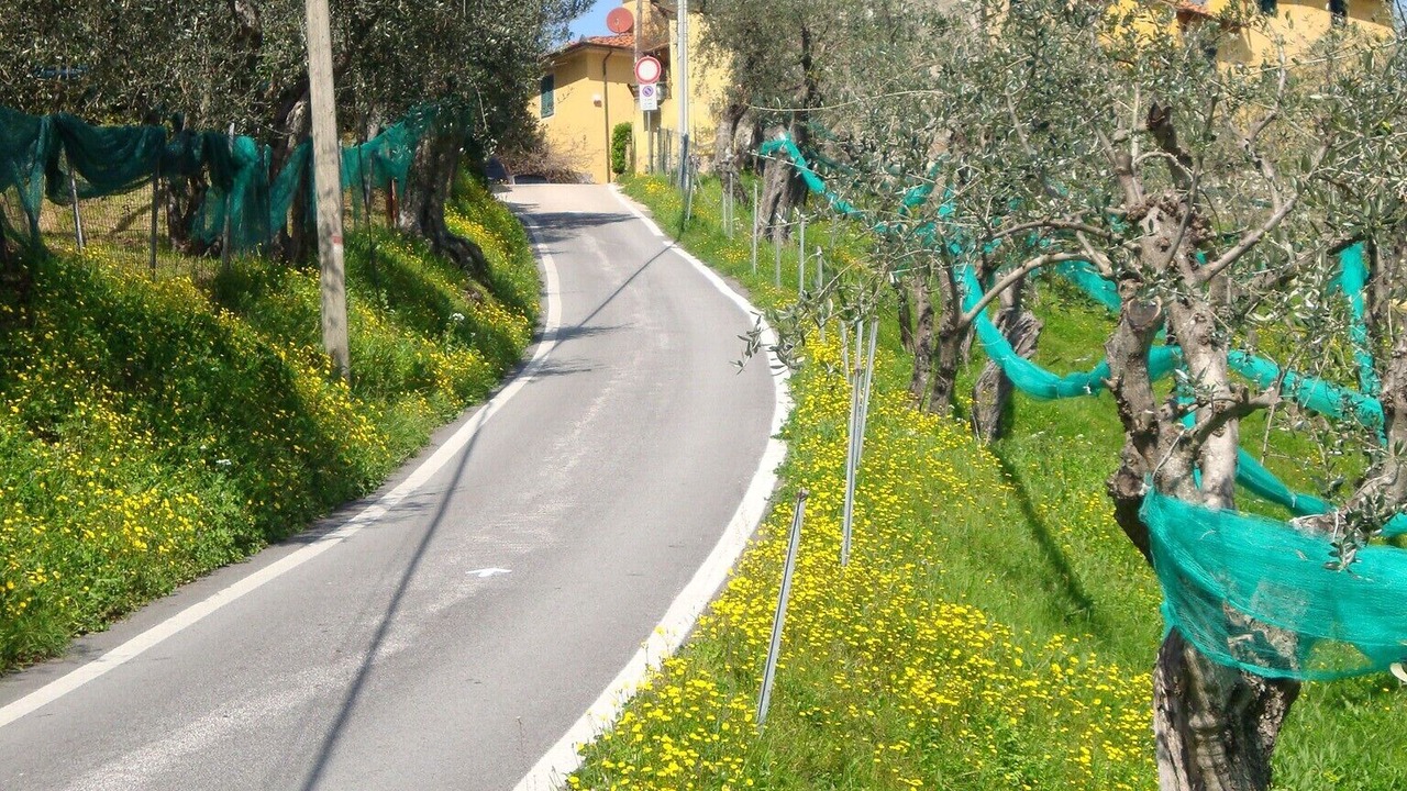 Photo of Others in Pieve a Elici