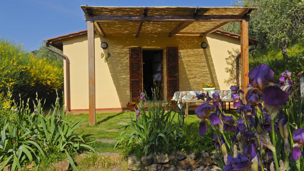 Photo of Outdoor in Calci
