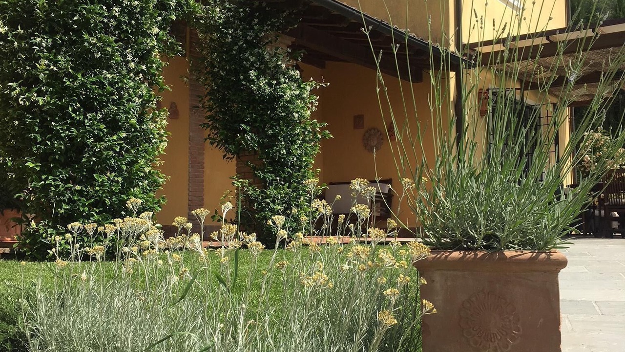 Photo of Outdoor in Tresana