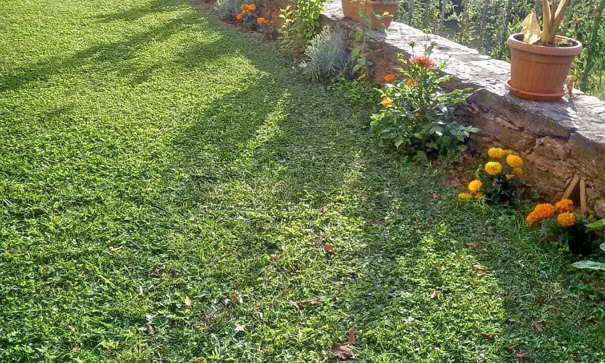 Photo of Outdoor in Seravezza