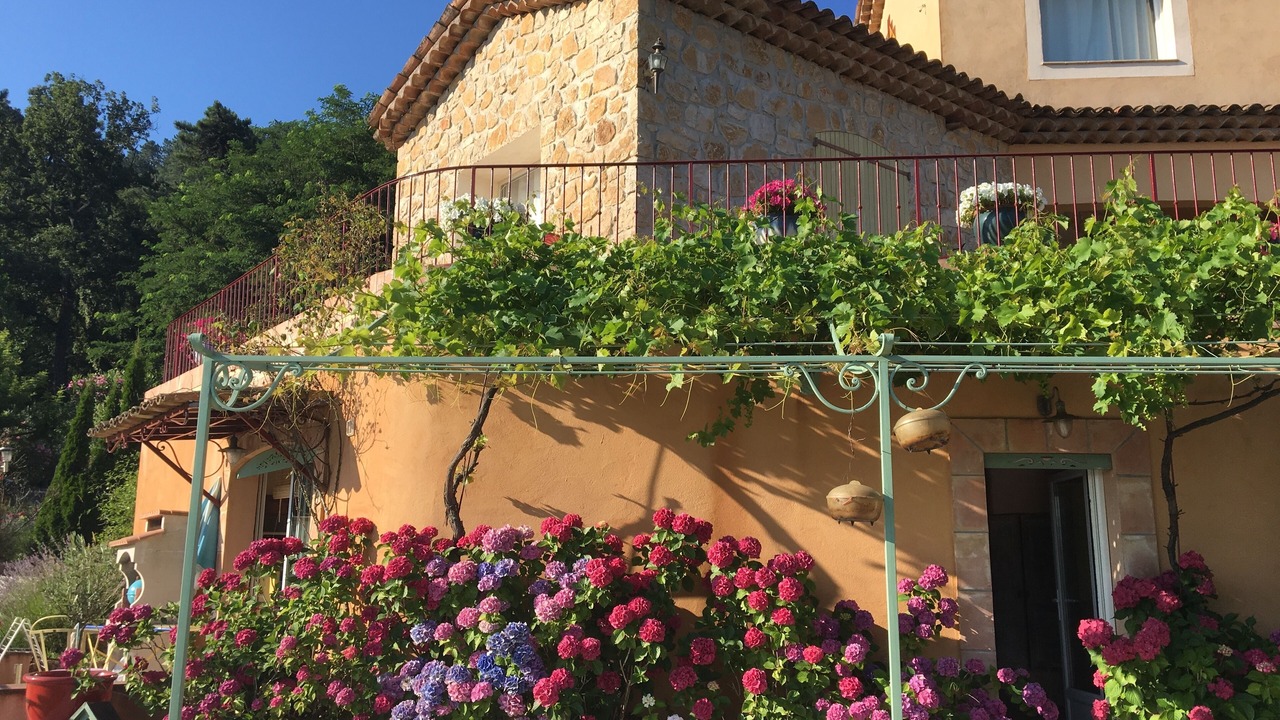 Photo of Outdoor in Saint-Raphael