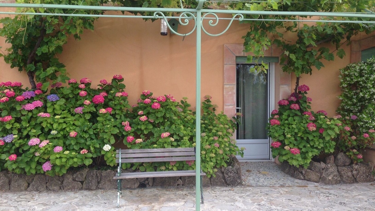 Photo of Outdoor in Saint-Raphael
