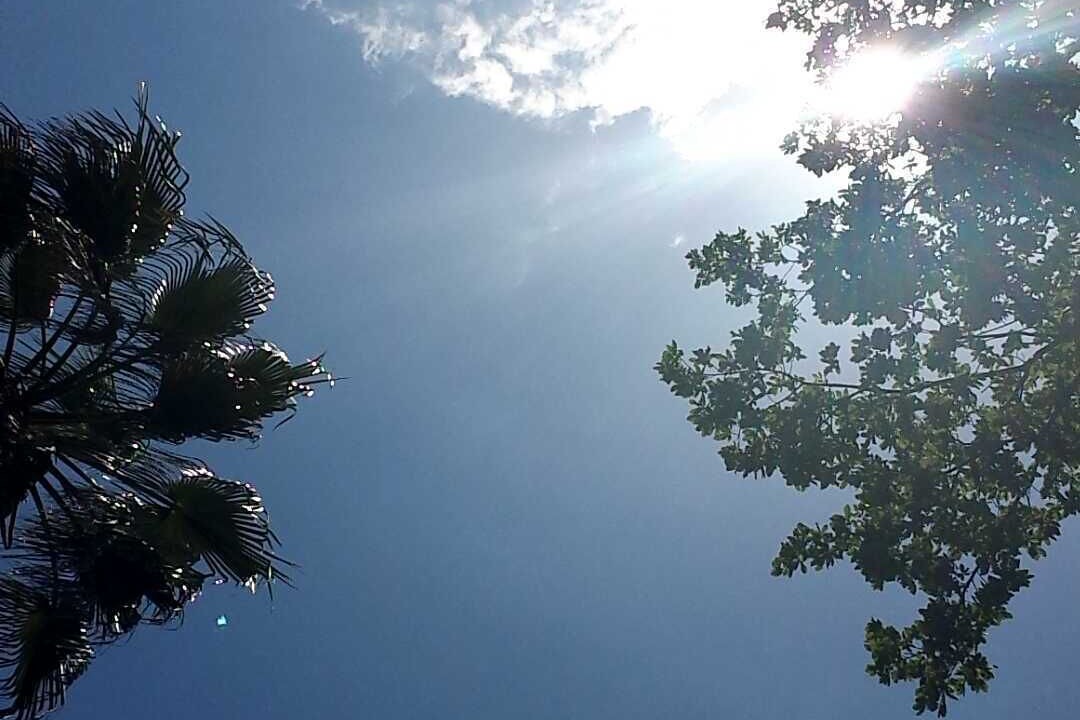 Photo of Outdoor in Les Maillans