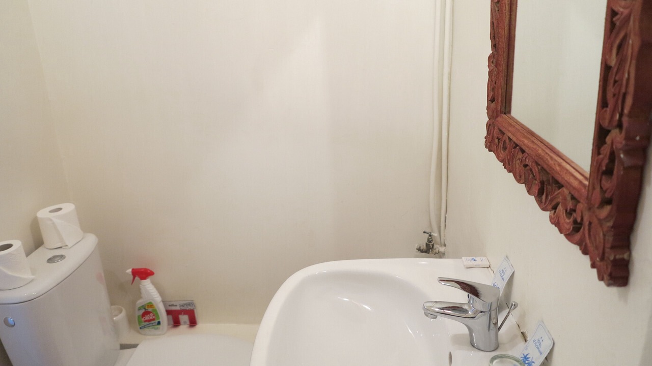 Photo of Bathroom in Cannes City Centre
