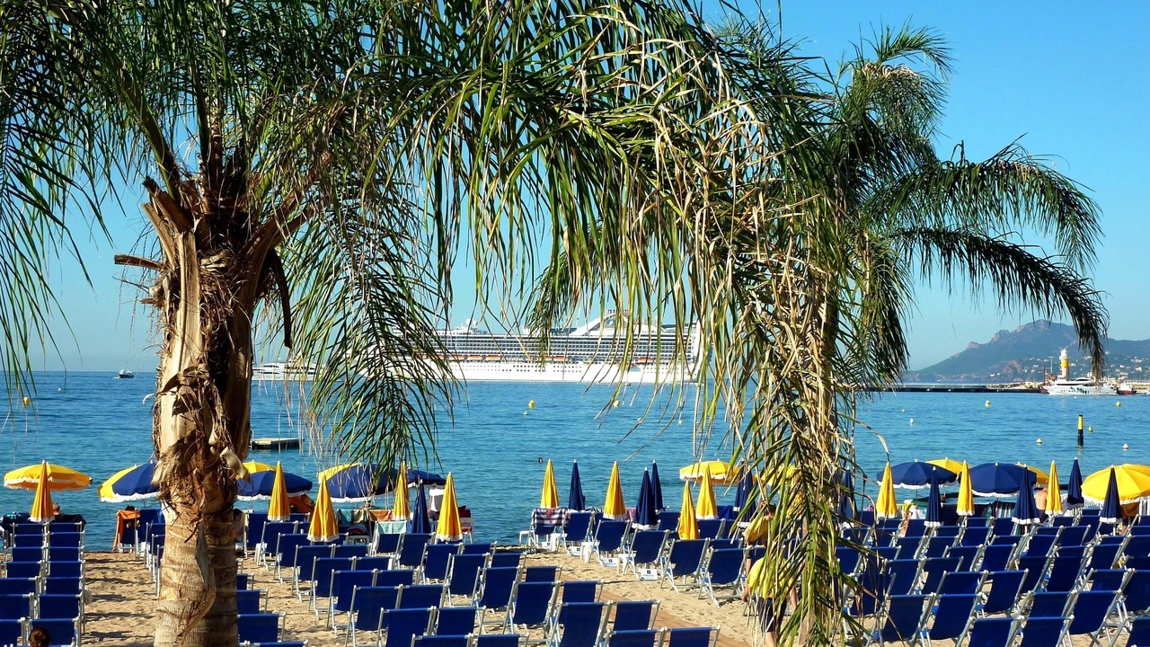 Photo of Others in Cannes City Centre