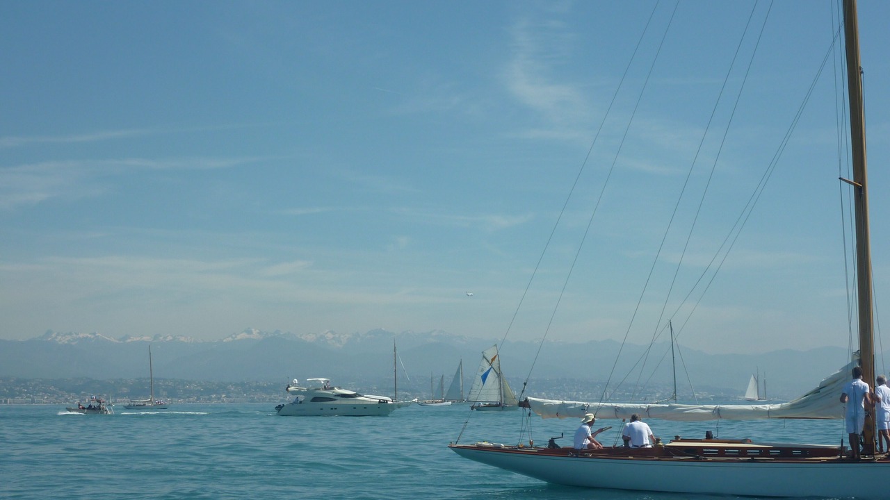 Photo of Others in Cannes City Centre