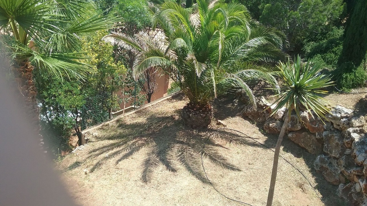 Photo of Outdoor in Antheor