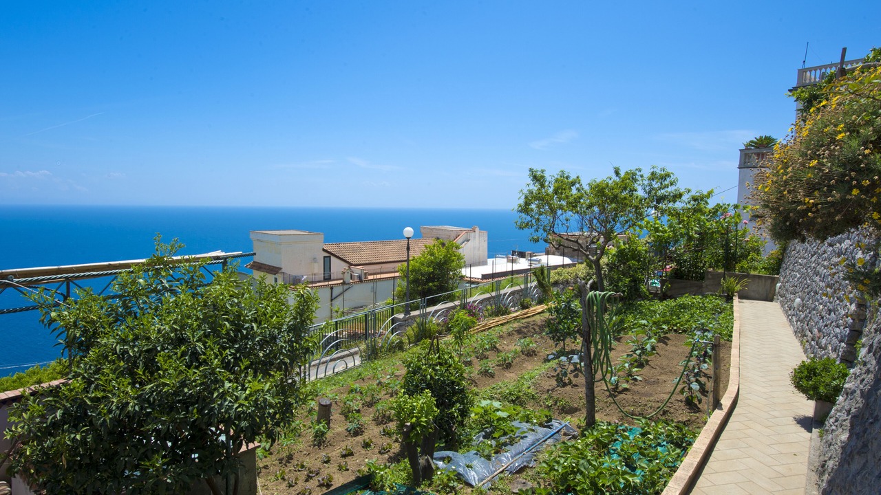 Photo of Outdoor in Conca dei Marini