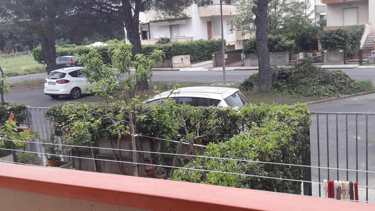 Photo of Outdoor in Vada
