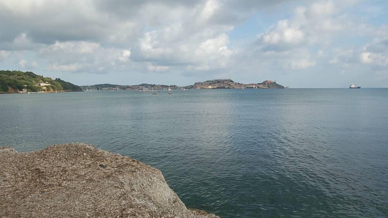 Photo of Others in Portoferraio