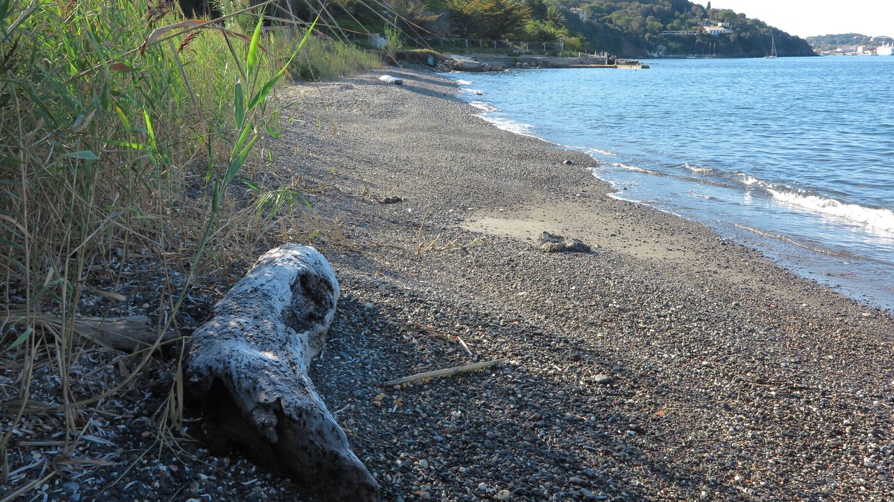 Photo of Others in Portoferraio