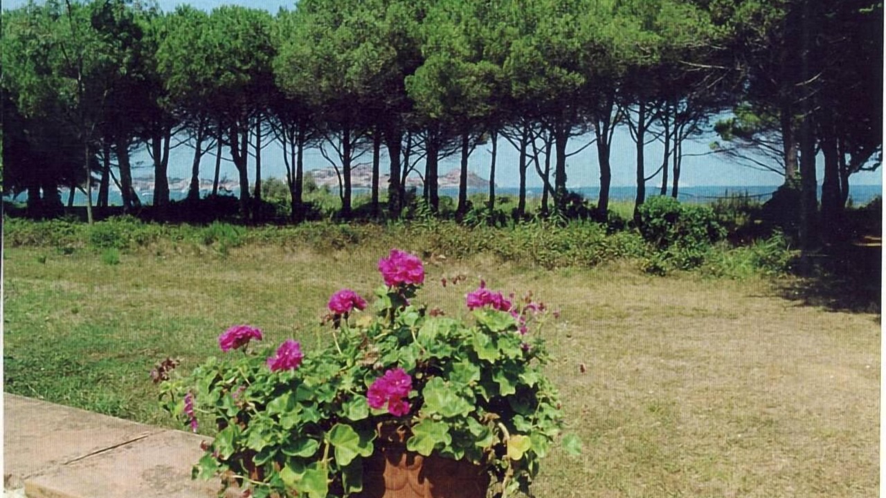 Photo of Others in Portoferraio