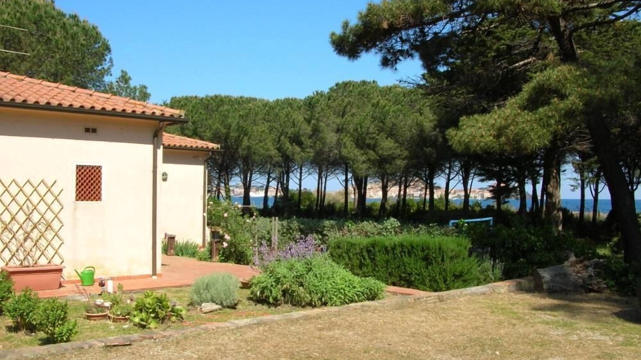 Photo of Others in Portoferraio