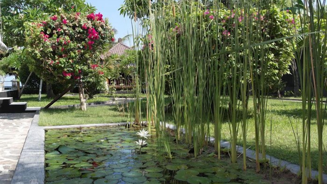 Photo of Outdoor in Kalisada