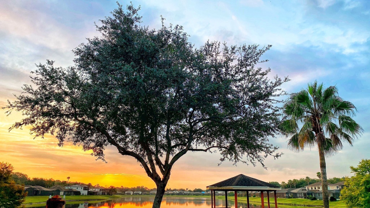 Photo of Others in Sunset Lakes