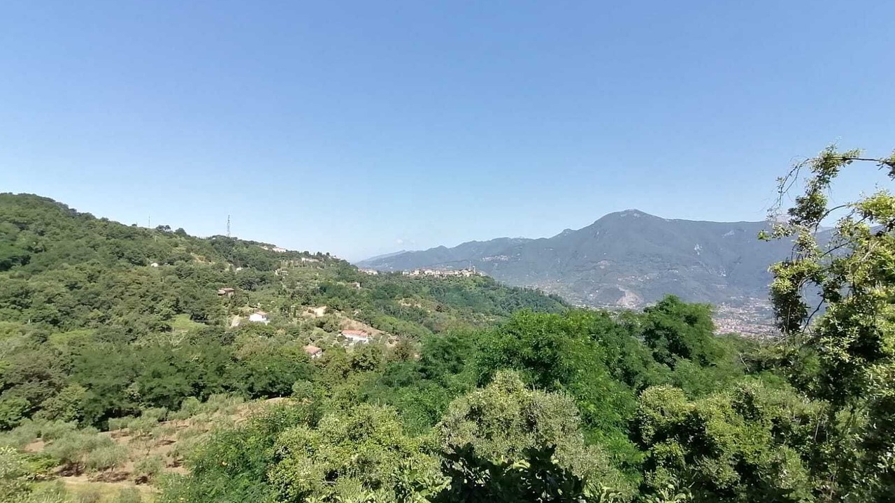 Photo of Others in Corsanico
