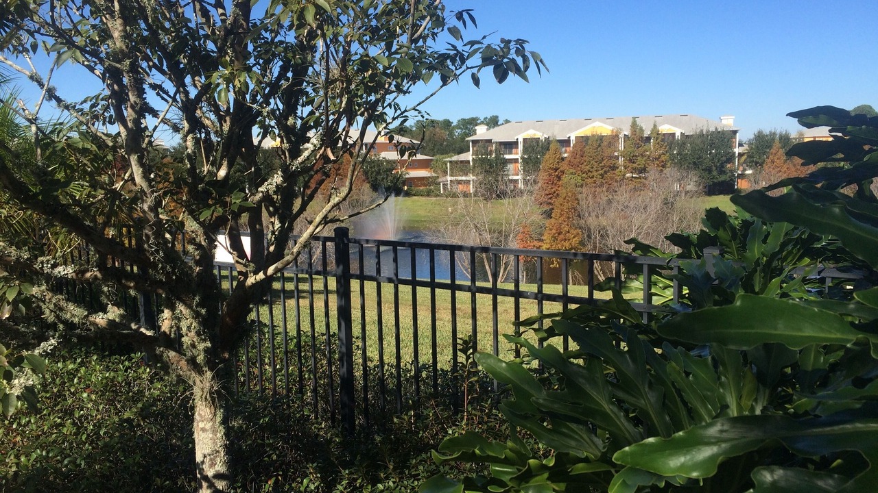 Photo of Outdoor in Bahama Bay