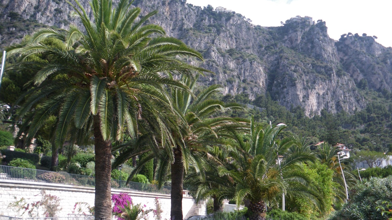 Photo of Outdoor in Beaulieu-sur-Mer