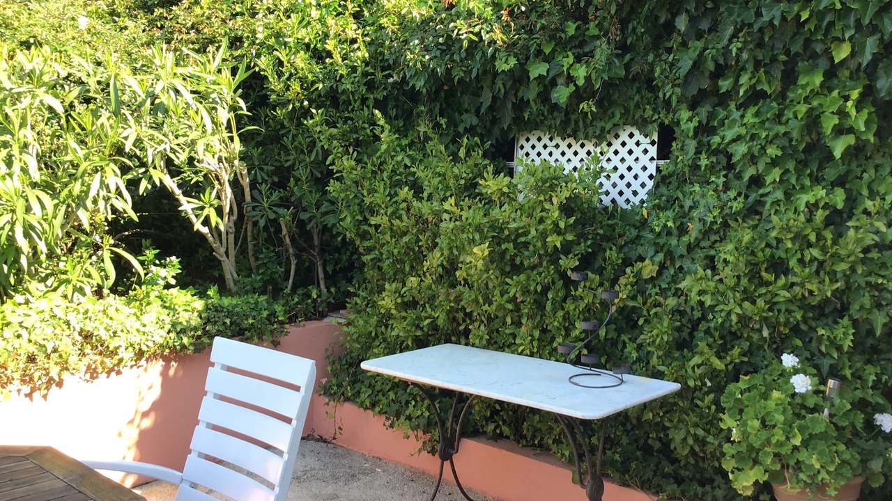 Photo of Outdoor in Le Rayol